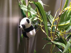 -长湘居(数码大厦店)