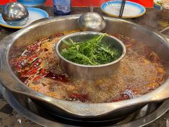 -金鼎雪山牦牛杂火锅(理县总店)