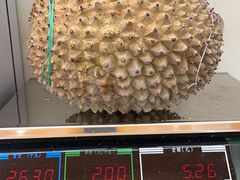 -开皇马来西亚榴莲美食店(华强北店)