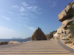 -广东惠东海龟国家级自然保护区