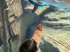 -海合安武汉极地海洋公园