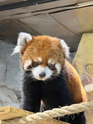 -Zoolung Zoolung动物主题公园(海信广场店)