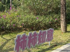 -云溪植物园