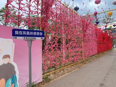 景点-北京凤凰岭
