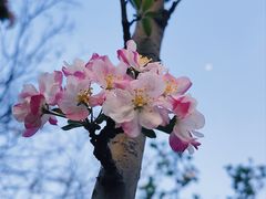 -绿岛公园(滨海新区)