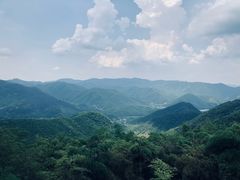 -莫干山风景区