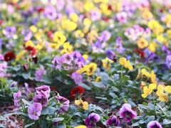 -狼山风景名胜区