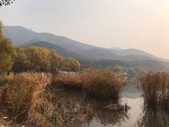 -十三陵山水雅园农家院