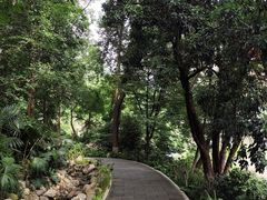 -成都市活水公园