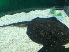 -常州海昌海洋探索馆