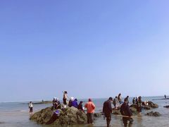 -巧克力渔家.小船海鲜胶东菜(万平口店)