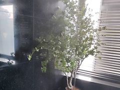 -华夏良子·足道SPA艾灸(金皇大厦店)