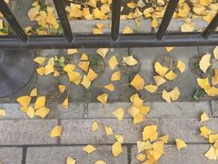 -北京动物园-畅观楼