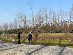 -前小桔亲子创意农场·草莓采摘·露营烧烤