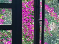 -大妙火锅·非物质文化遗产(东湖公园店)