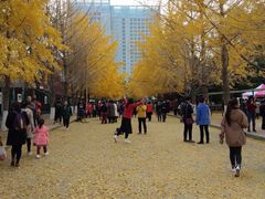 -辽宁大学(崇山校区)