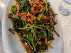 辣炒肉丝-春饼家常菜(百子湾店)