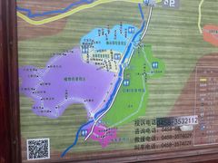 -汤旺河林海奇石景区