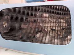 -宠福鑫康馨动物医院·骨科·眼科