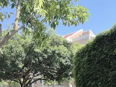 -厦门国家会计学院