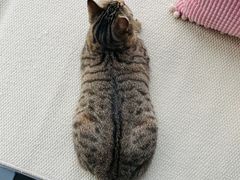-美迦爱-牙专科·兔科·骨科诊疗中心(北苑店)