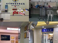 -动物缘宠物医院·骨科·猫科(西二环店)