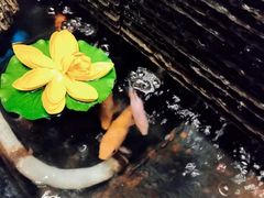 -新盈光·心院(嘉恒广场店)