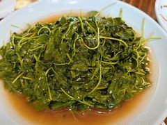 -双塔老饭店