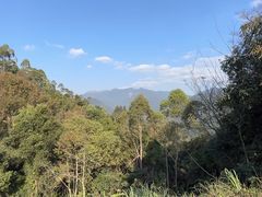 -广州市石门国家森林公园