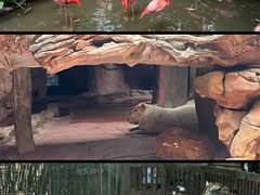 -长鹿旅游休博园