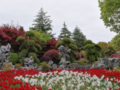 -上海鲜花港
