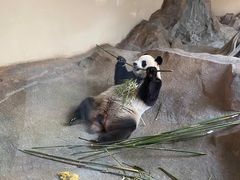-宁波野生动物园