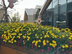 -锦荟JINHUI·浙江小馆(上海荟聚店)