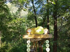 -大岭沟猕猴桃谷风景区