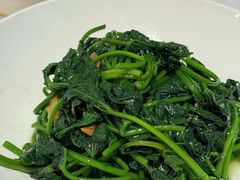红薯叶-菉雅苑·湛江菜(前海卓越INTOWN店)