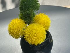 -止观小馆·辽河口渔家菜(王府井店)