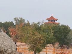 -白水寺森林公园