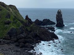 -涉地可支