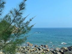 -广东惠东海龟国家级自然保护区