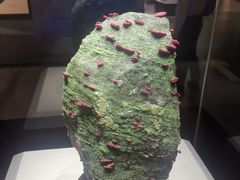 -湖南省地质博物馆