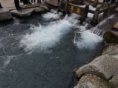 -百脉泉景区