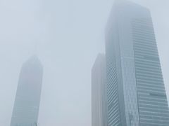 -元银甲·湖北地标美食(汉阳店)