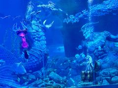 -哈尔滨波塞冬海底世界