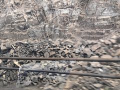 -新疆天山野生动物园