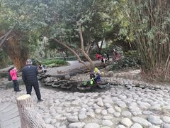 -成都市活水公园