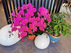 -攸州小镇家湘菜(小米科技园店)