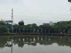 -长洲岛