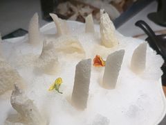 -芸山季·云南山珍菌火锅(南翔印象城MEGA店)