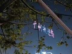 -洲头咀公园