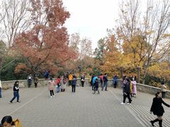 -香山公园-东宫门售票处